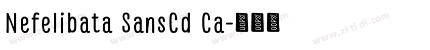 Nefelibata SansCd Ca字体转换